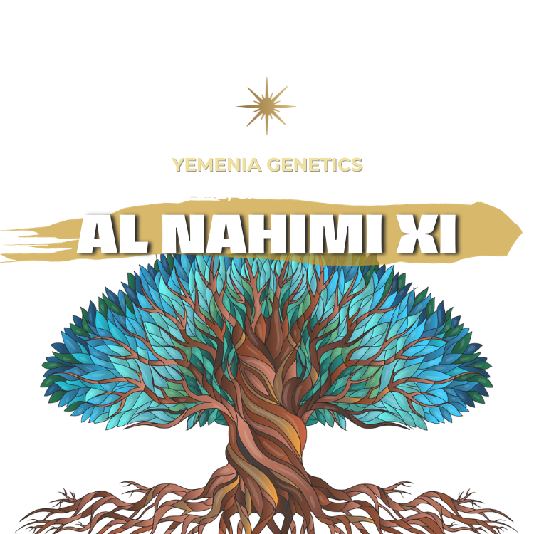 AL NAHIMI XI | YEMEN | ALCHEMY | 100g