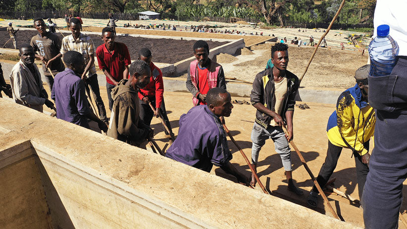 Suke Quoto - Ethiopia
