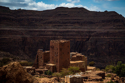 Educate the Curious: Yemen 