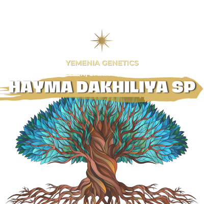 HAYMA DAKHILIYA SP | YEMEN | ANAEROBIC | 100g