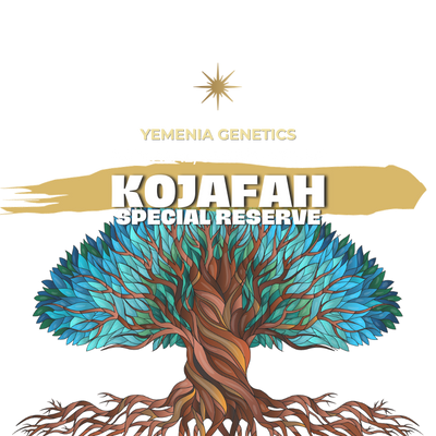 KOJAFAH SPECIAL RESERVE | YEMEN | NATURAL | 100g