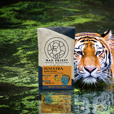 Sumatra | Burni Telong Wet Hulled