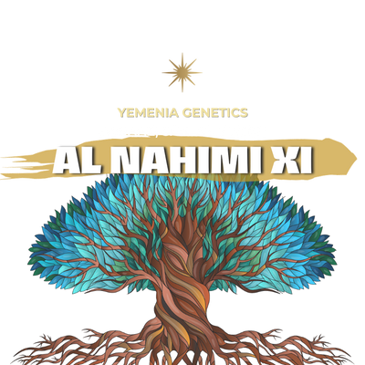 AL NAHIMI XI | YEMEN | ALCHEMY | 100g