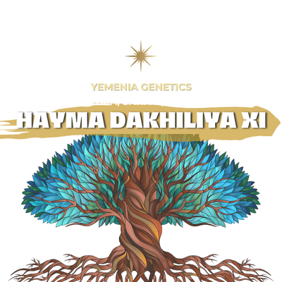 HAYMA DAKHILIYA XI | YEMEN | ALCHEMY | 100g
