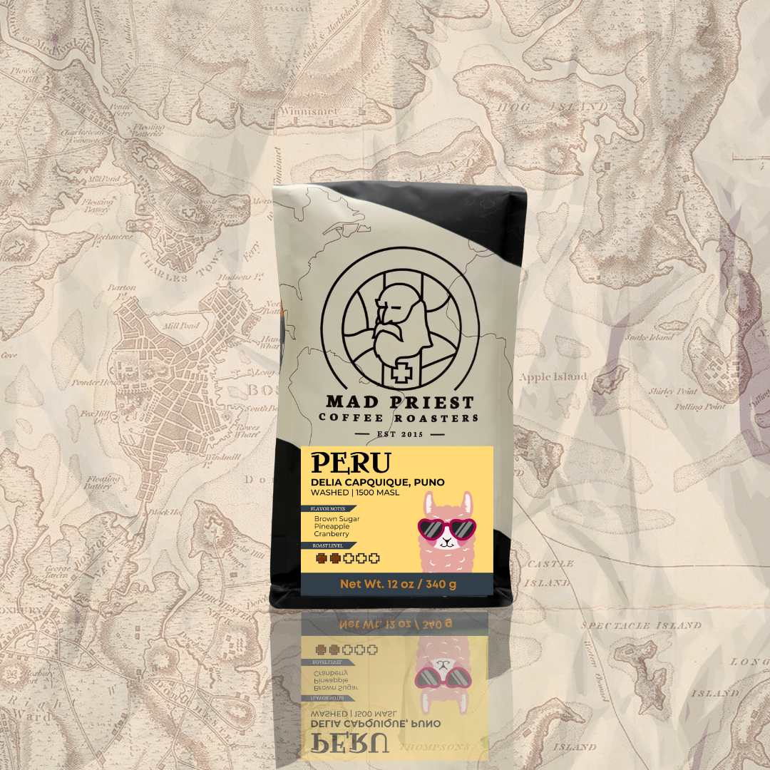 Peru | Delia Capquique Washed