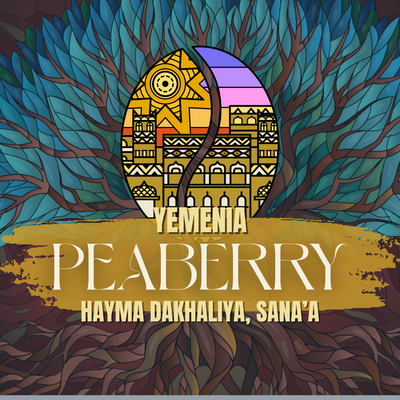 YEMEN | HAYMA PEABERRY | NATURAL