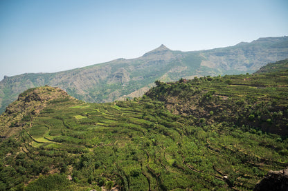 RESERVE:  Hejrat Women | Yemen