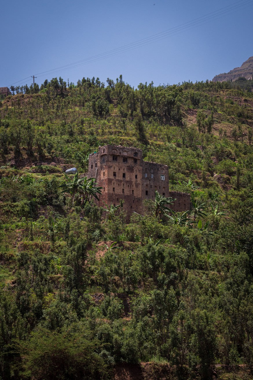 RESERVE:  Hejrat Women | Yemen