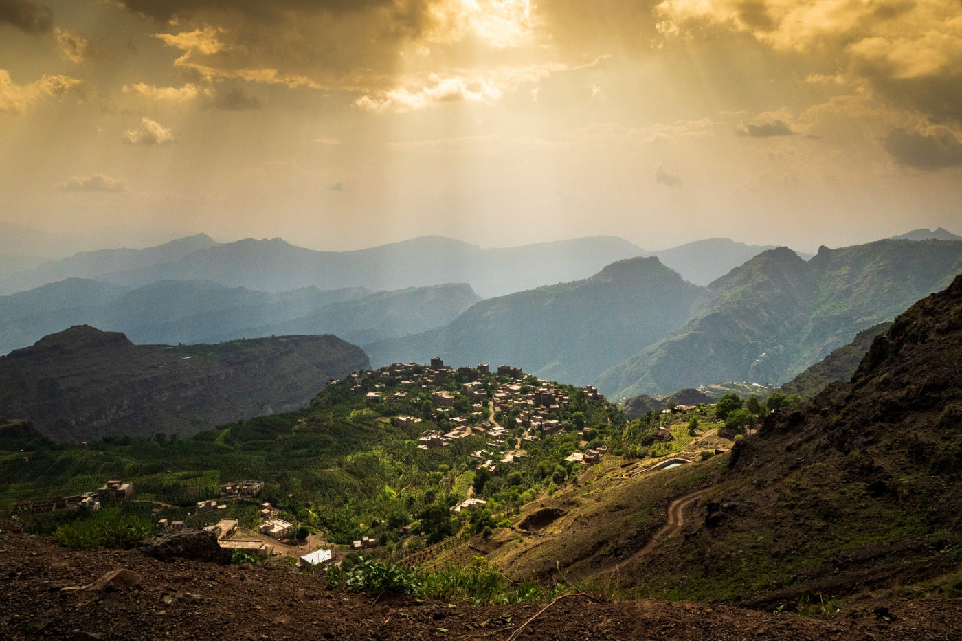 YEMEN | HAYMA PEABERRY | NATURAL