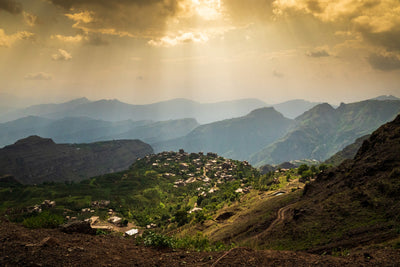 YEMEN | HAYMA PEABERRY | NATURAL