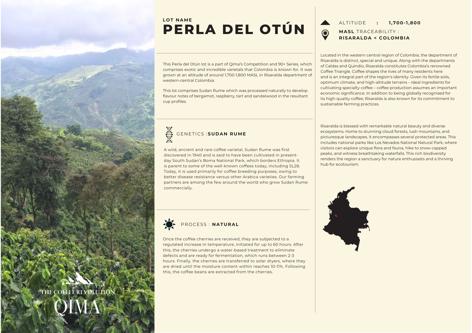 PERLA DEL OTÚN | COLOMBIA | SUDAN RUME | 100g