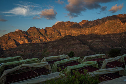 RESERVE: Maghrib Ans - Yemen